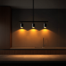 Black Ceiling Lamp | 3-Point Spotlight