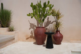 The Fiji Side Table