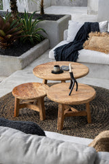 The Fusuma Coffee Table