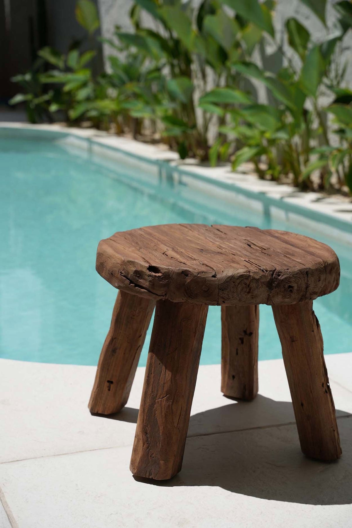 The Marabunta Rustic Side Table