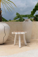 The Organic Side Table