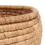 The Sarvatah Basket