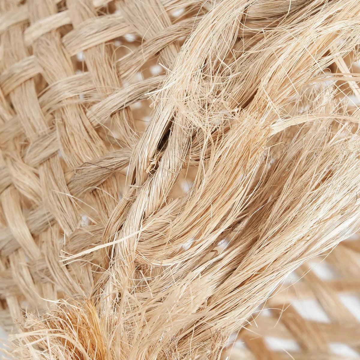 The Abaca Jelly Fish Pendant