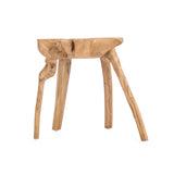 The Rooty Side Table