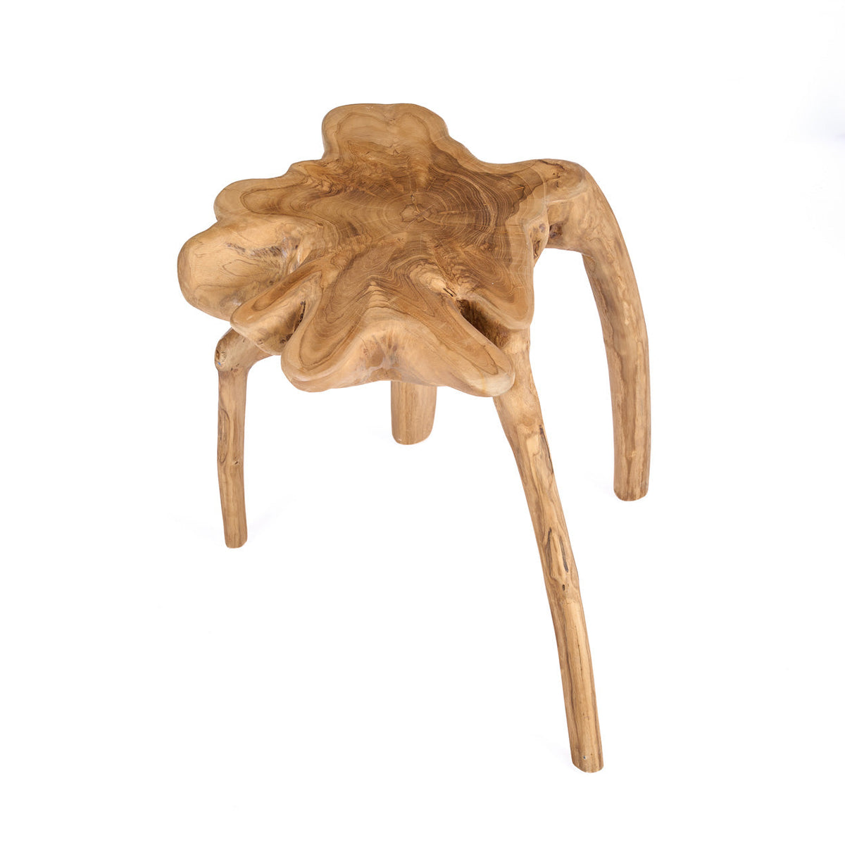 The Rooty Side Table