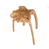 The Rooty Side Table