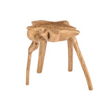The Rooty Side Table