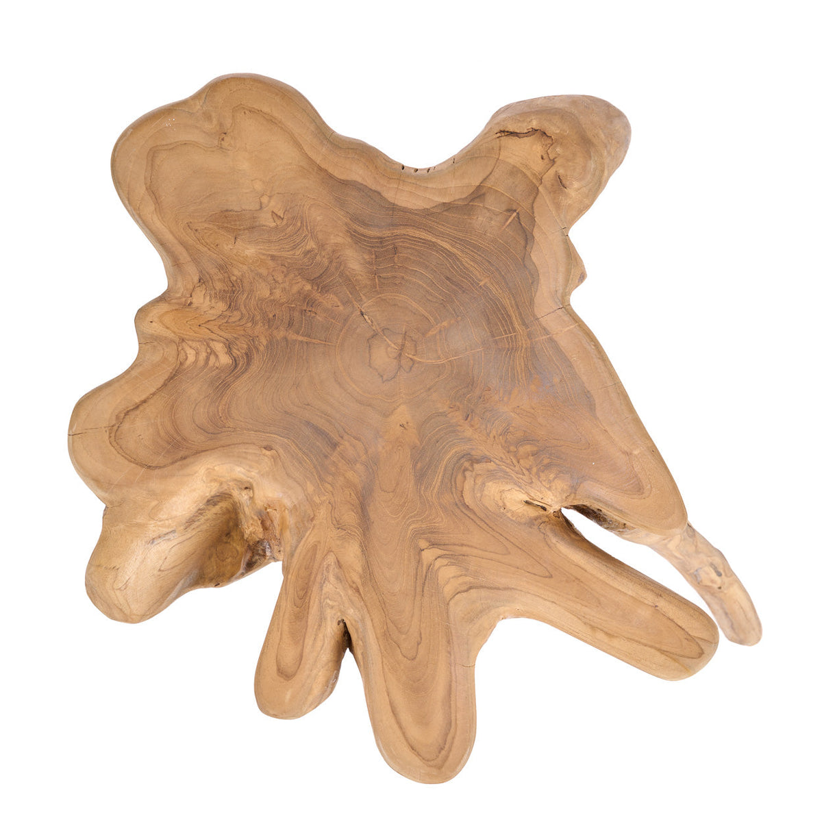 The Rooty Side Table