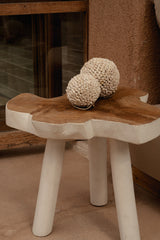 The Organic Side Table