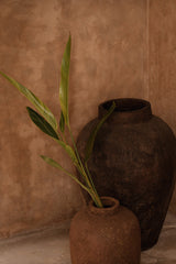 The Volcanic Vase