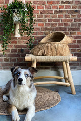 The Porto Seagrass Stool