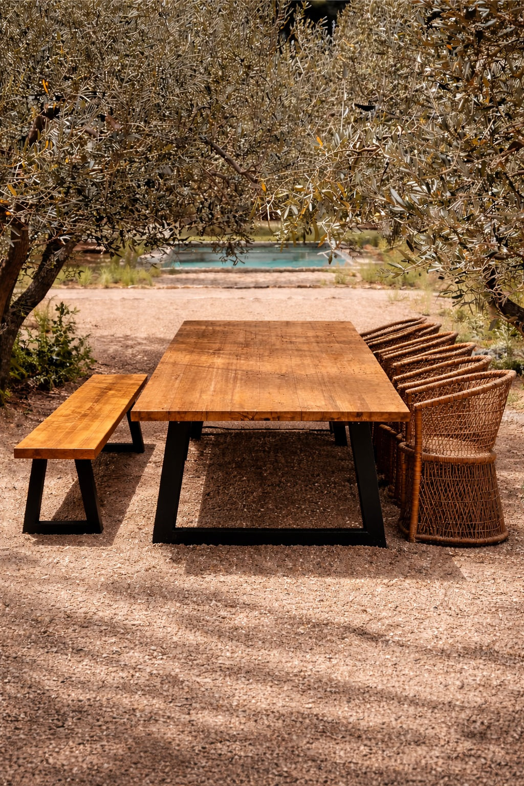 The Bench With Iron Legs