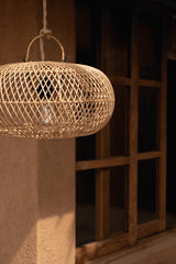 The Wholly Pendant