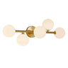 5-Light Bathroom Light Fixtures Ceiling Light
