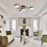 Black Acrylic Ceiling Lamp