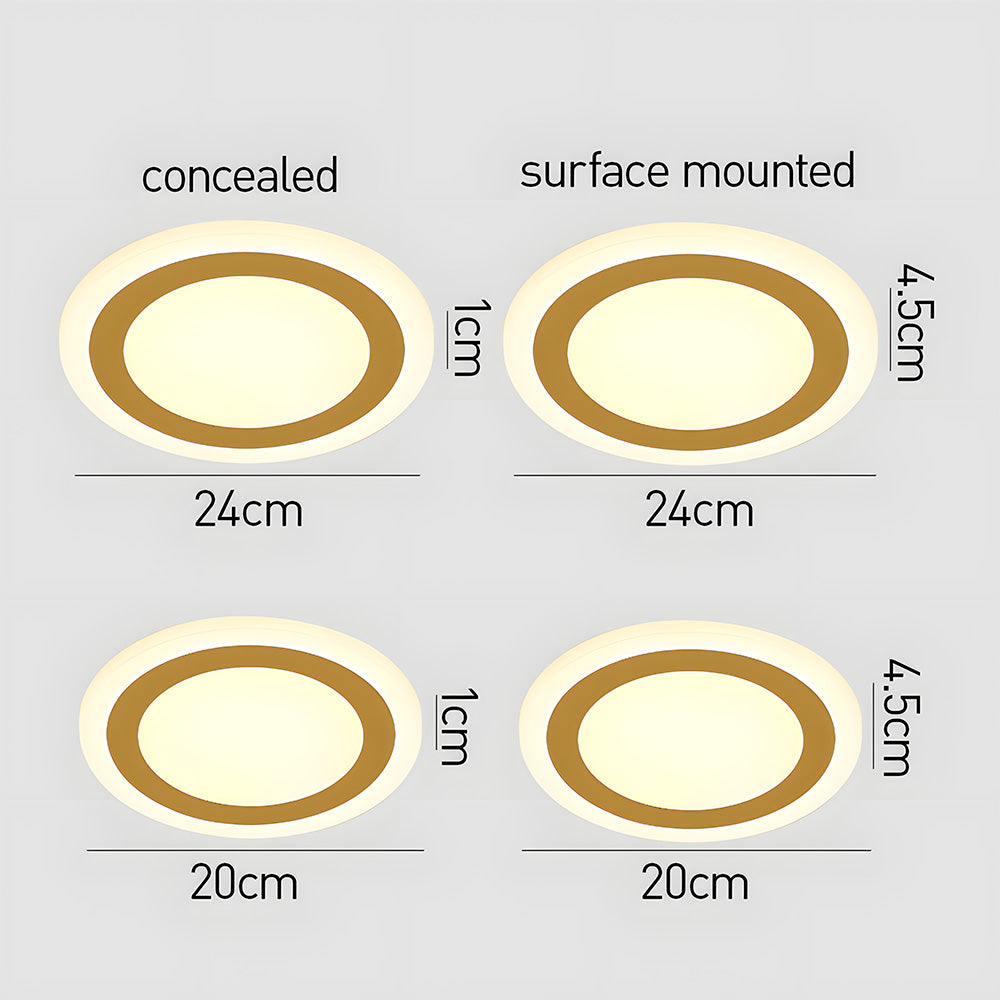 Simple Acrylic Flush Mount Ceiling Lamp for Living Room