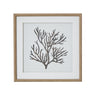 Reef Coral Art Mounted In Beaded Frame