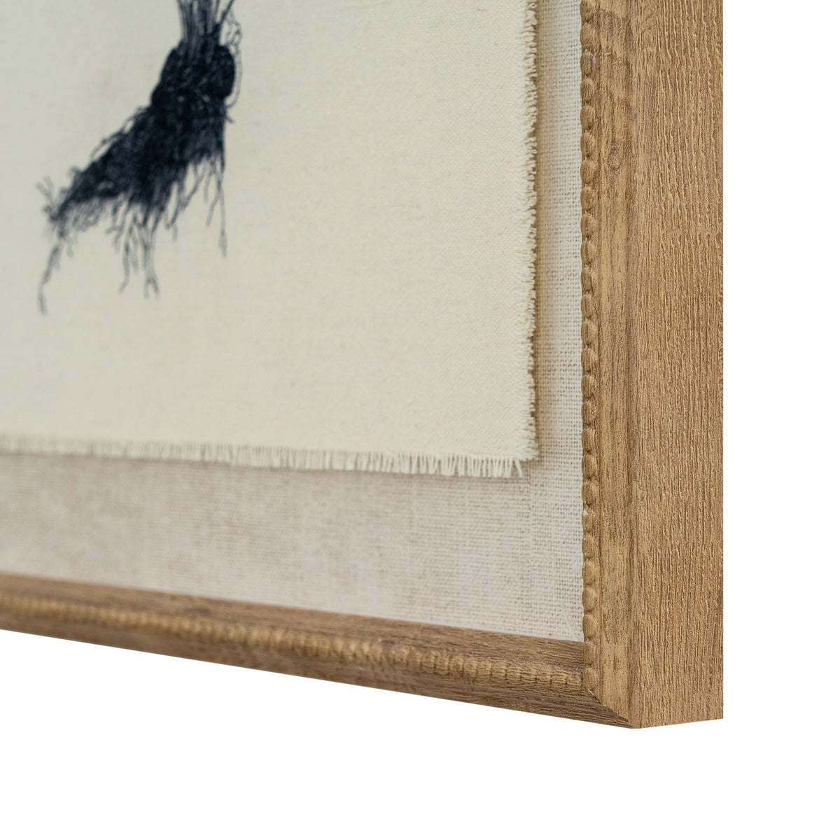 Flora & Fauna Collection Spleenwort On Linen In