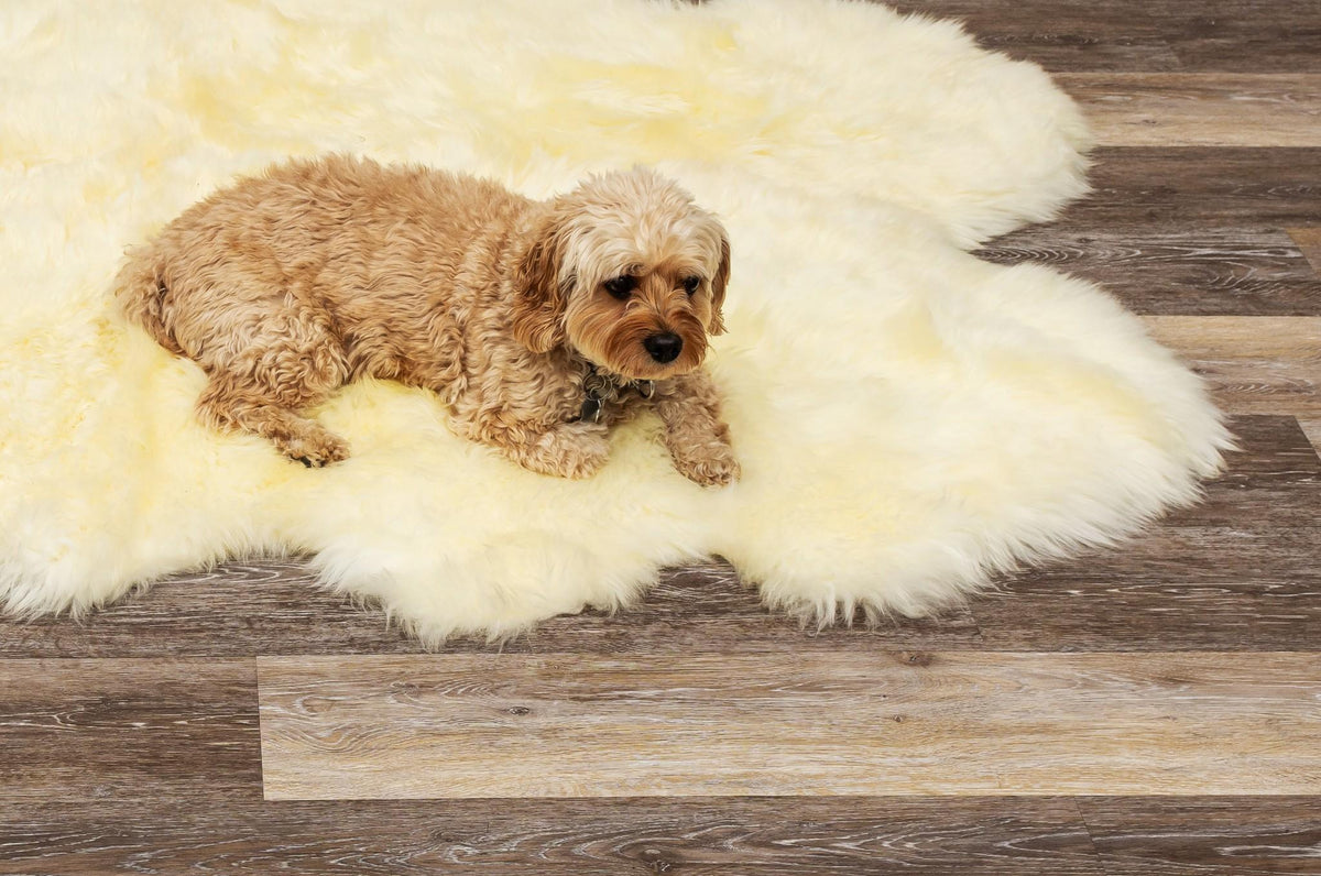Toison 6' × 6' Sheepskin Rug — Natural, Non-Skid