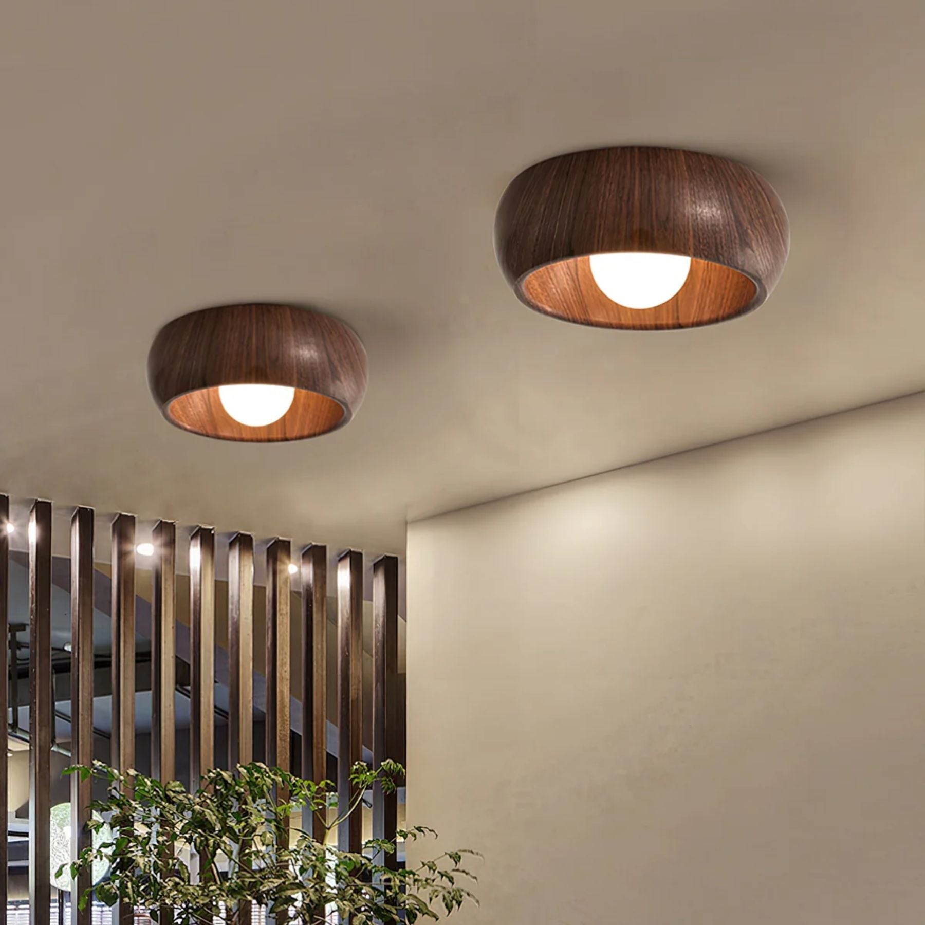 Albanora - Modern Ceiling Lamp with Minimalist Design