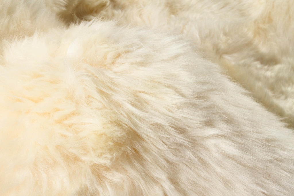 Toison 6' × 6' Shag Sheepskin Rug — Gold