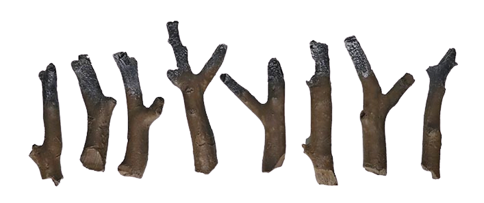 Amantii 8-piece natural wood log set
