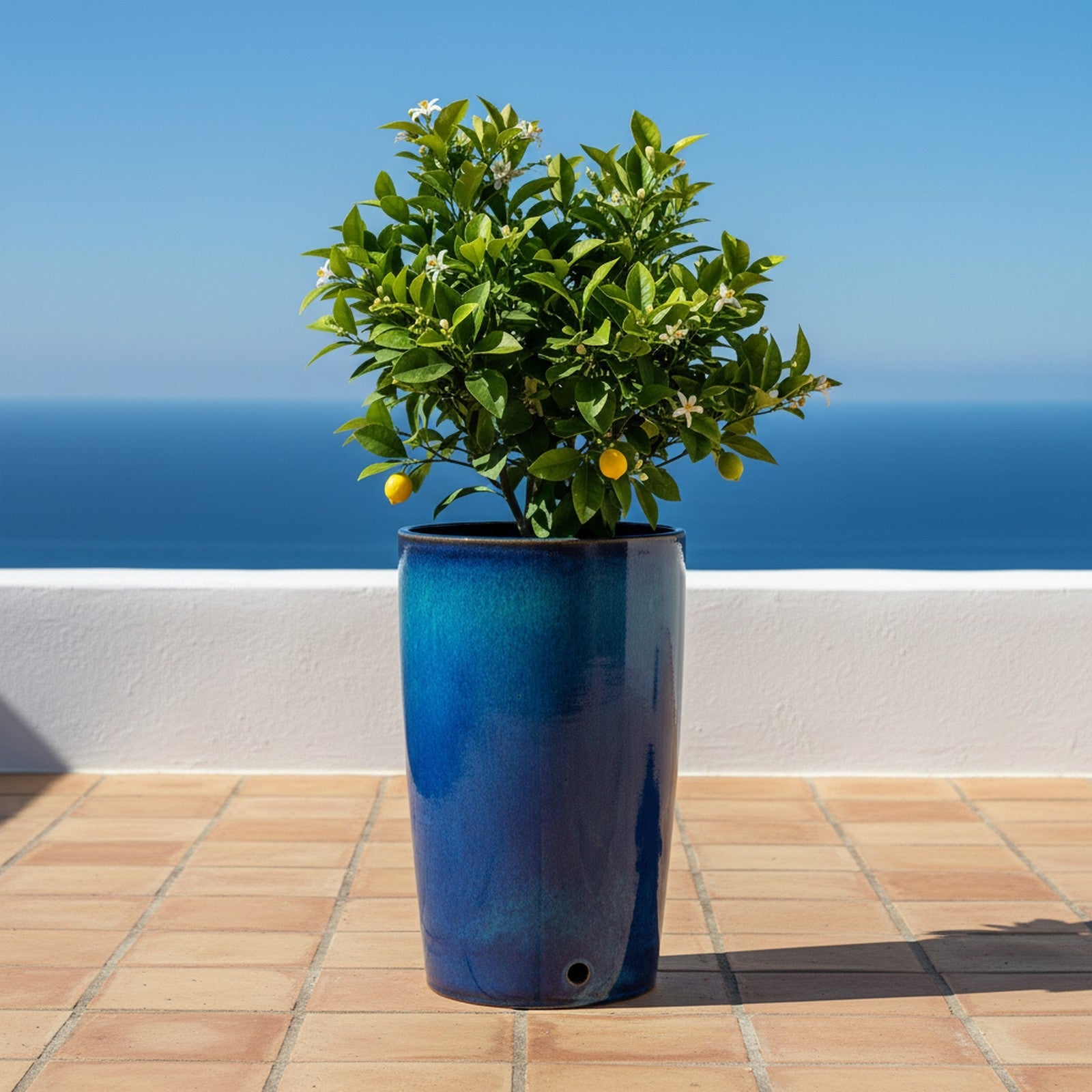 Glazed Ceramic Tall Planter - Lifestyle