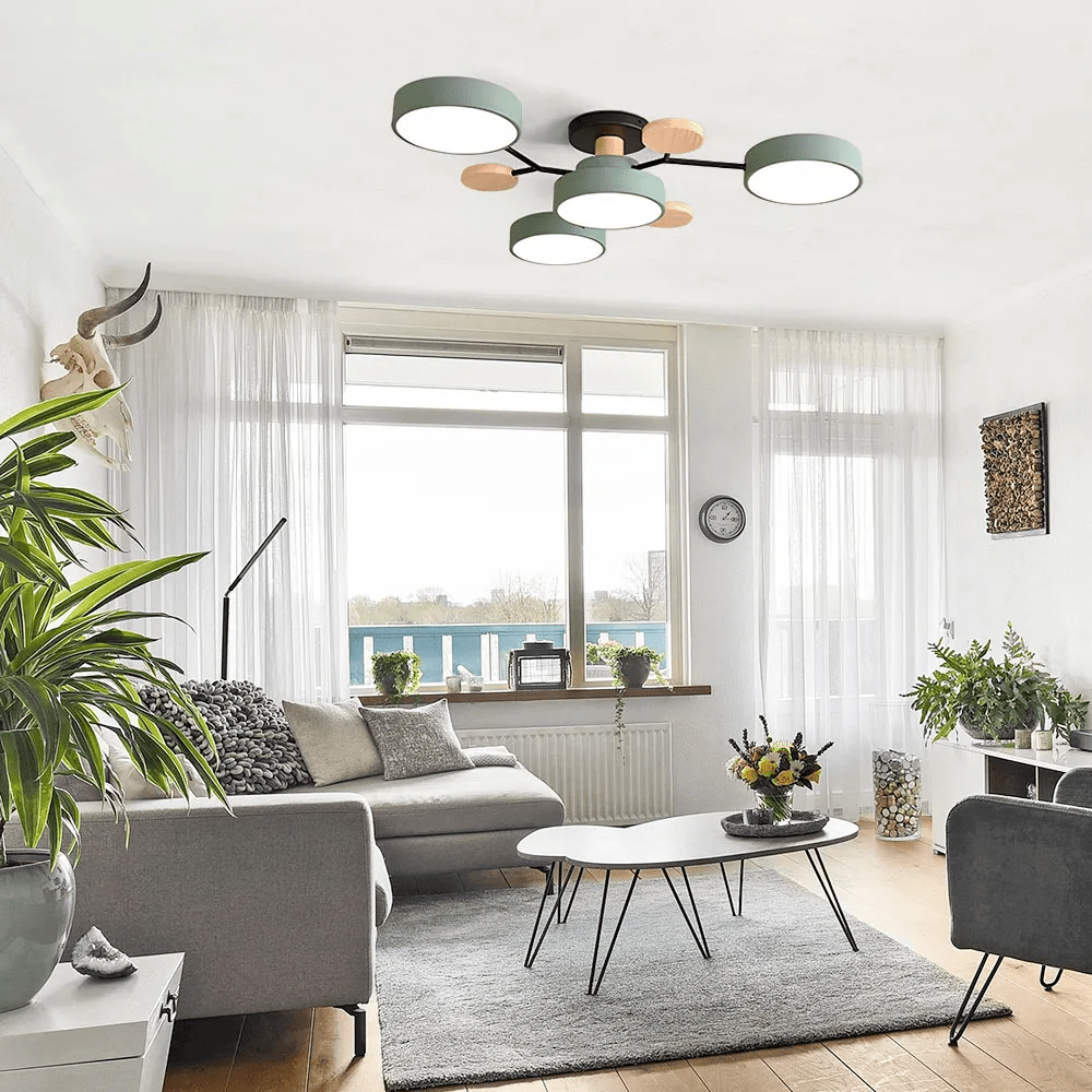 Black Acrylic Ceiling Lamp