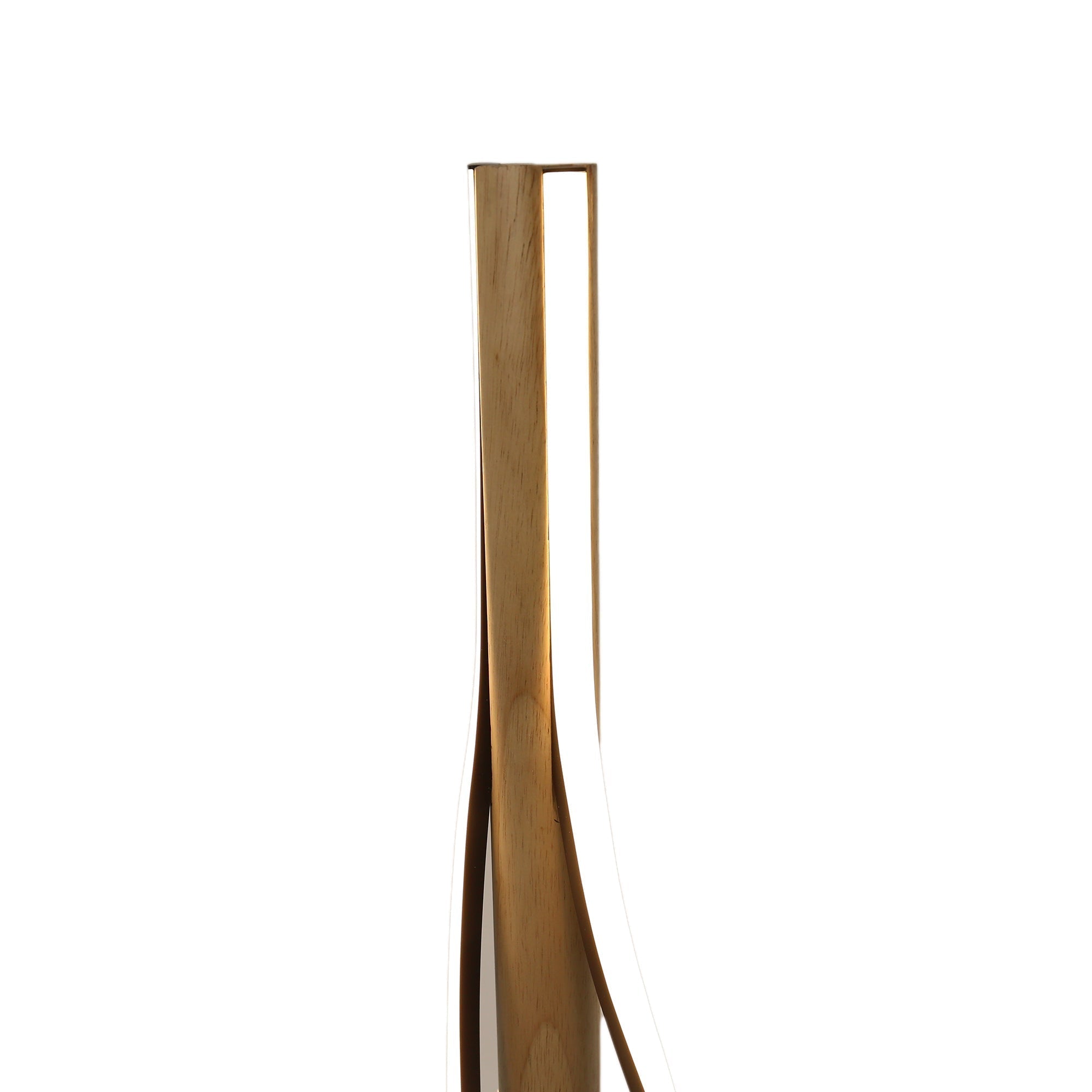 Bonnie LED Floor Lamp