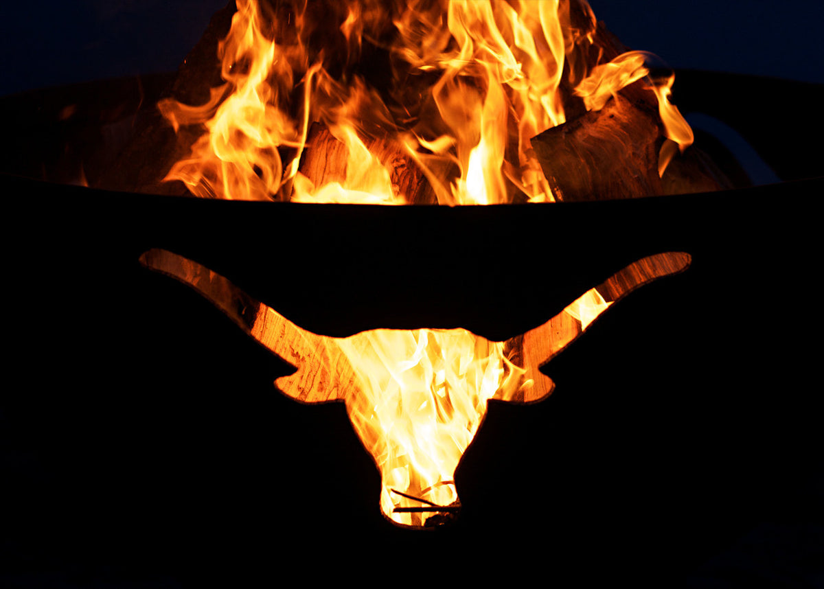 Longhorn by Fire Pit Art