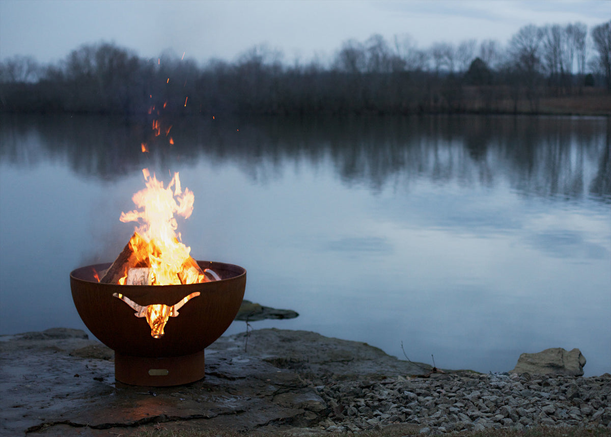 Longhorn by Fire Pit Art