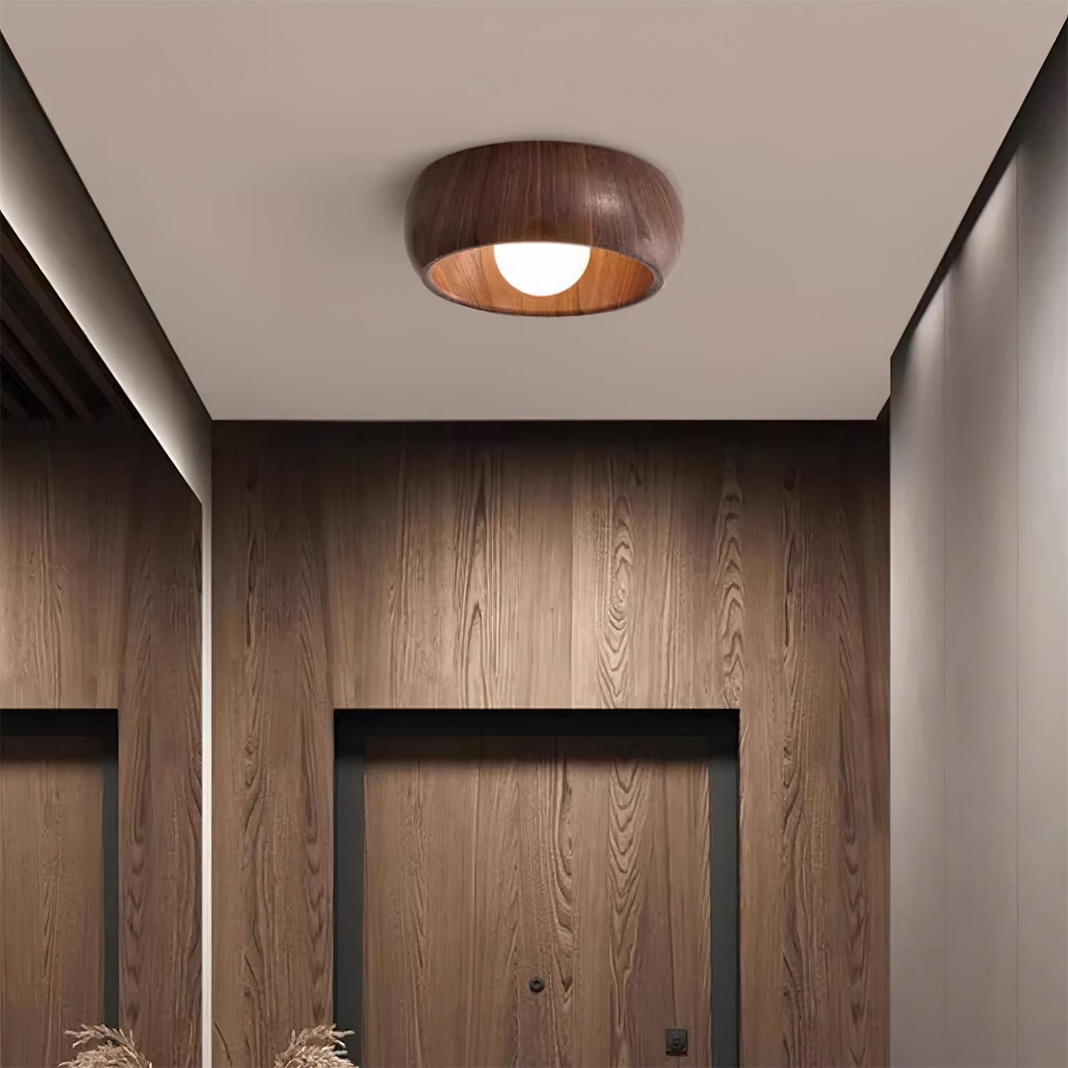Albanora - Modern Ceiling Lamp with Minimalist Design