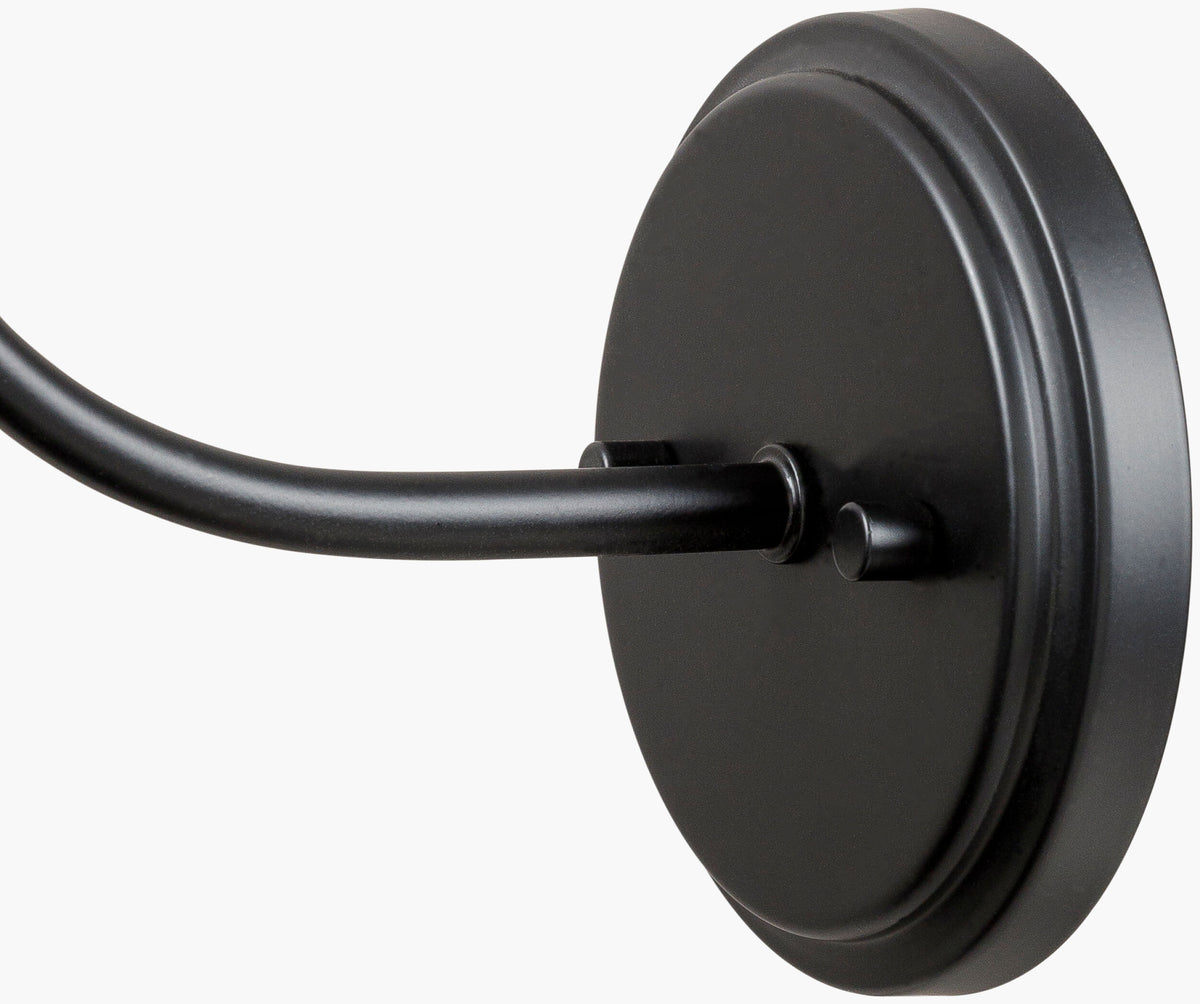 Ammi 13" Iron Wall Sconce, Painted Black, Plated Metallic Brass
