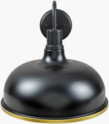 Ammi 13" Iron Wall Sconce, Painted Black, Plated Metallic Brass