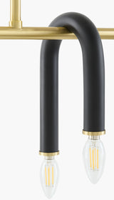 Arqis Iron Chandelier, Powder Coated Black (ARQS-004)