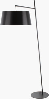 Astro 75" Iron Floor Lamp, Painted Black