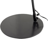 Astro 75" Iron Floor Lamp, Painted Black