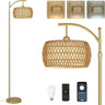 Arc Floor Lamp with 3 Color Temperatures