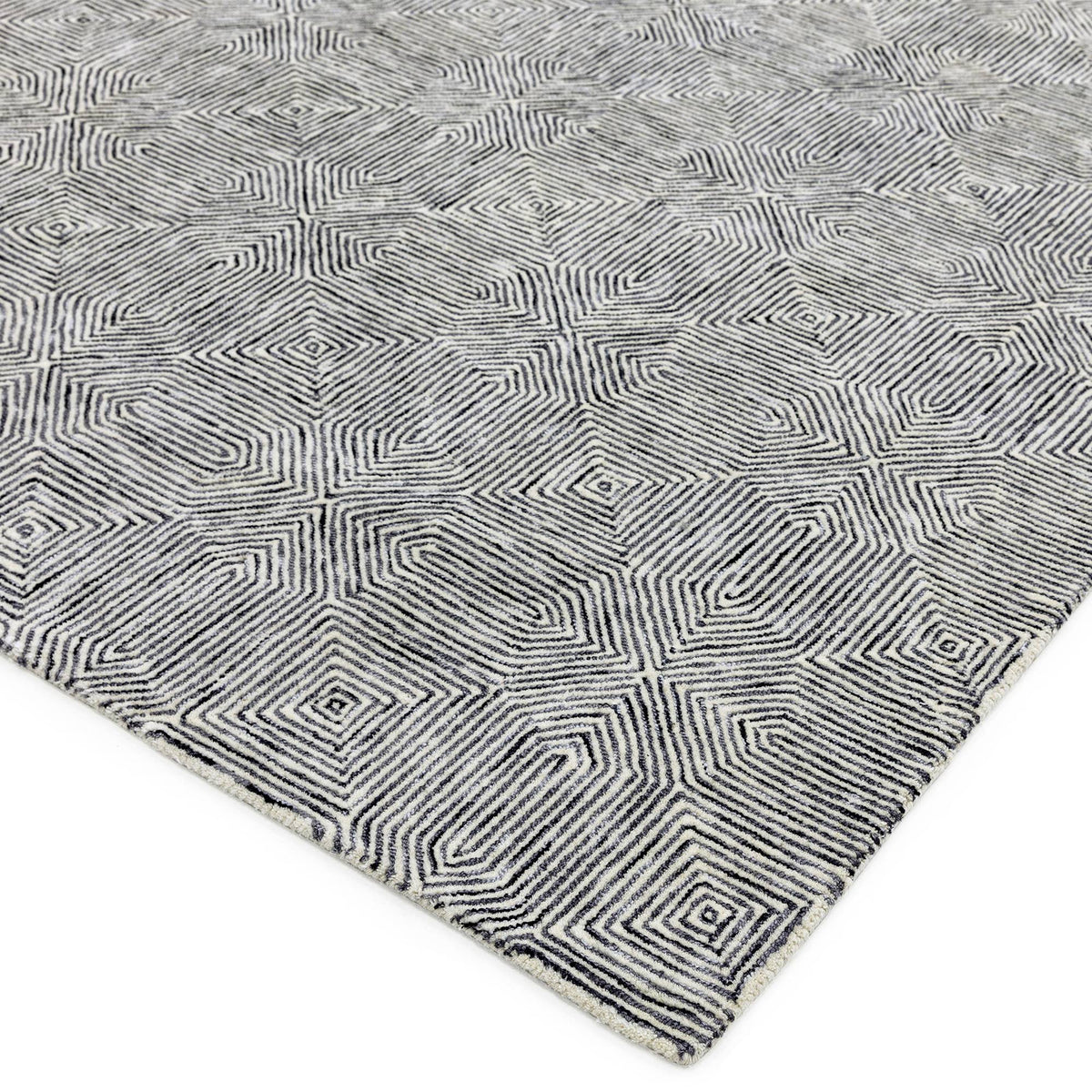 Camden Rug styled in a living room