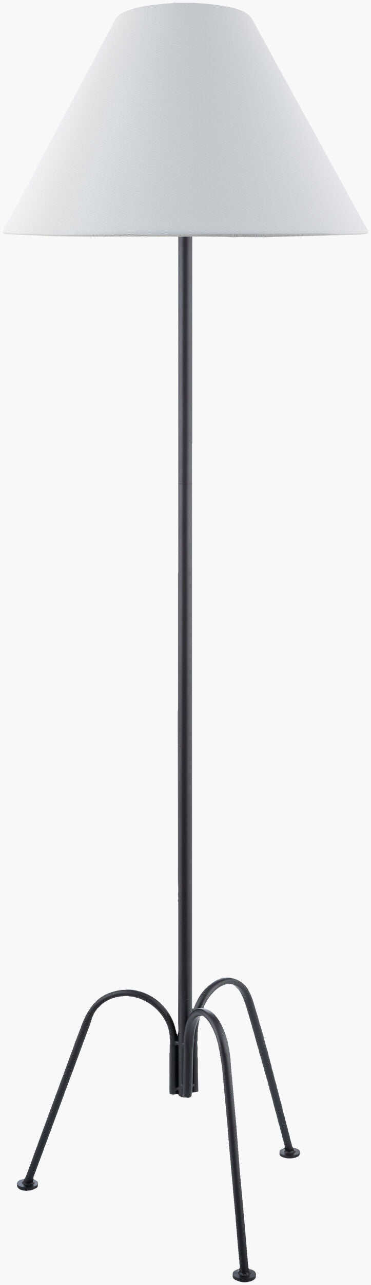 Calvinia 60" Iron Floor Lamp, Lacquered Black