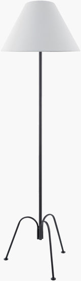 Calvinia 60" Iron Floor Lamp, Lacquered Black