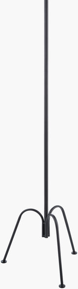 Calvinia 60" Iron Floor Lamp, Lacquered Black