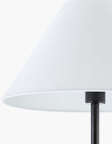 Calvinia 60" Iron Floor Lamp, Lacquered Black
