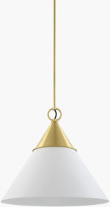 Cirelle Iron Pendant Light (CRLE-003)
