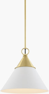Cirelle Iron Pendant Light