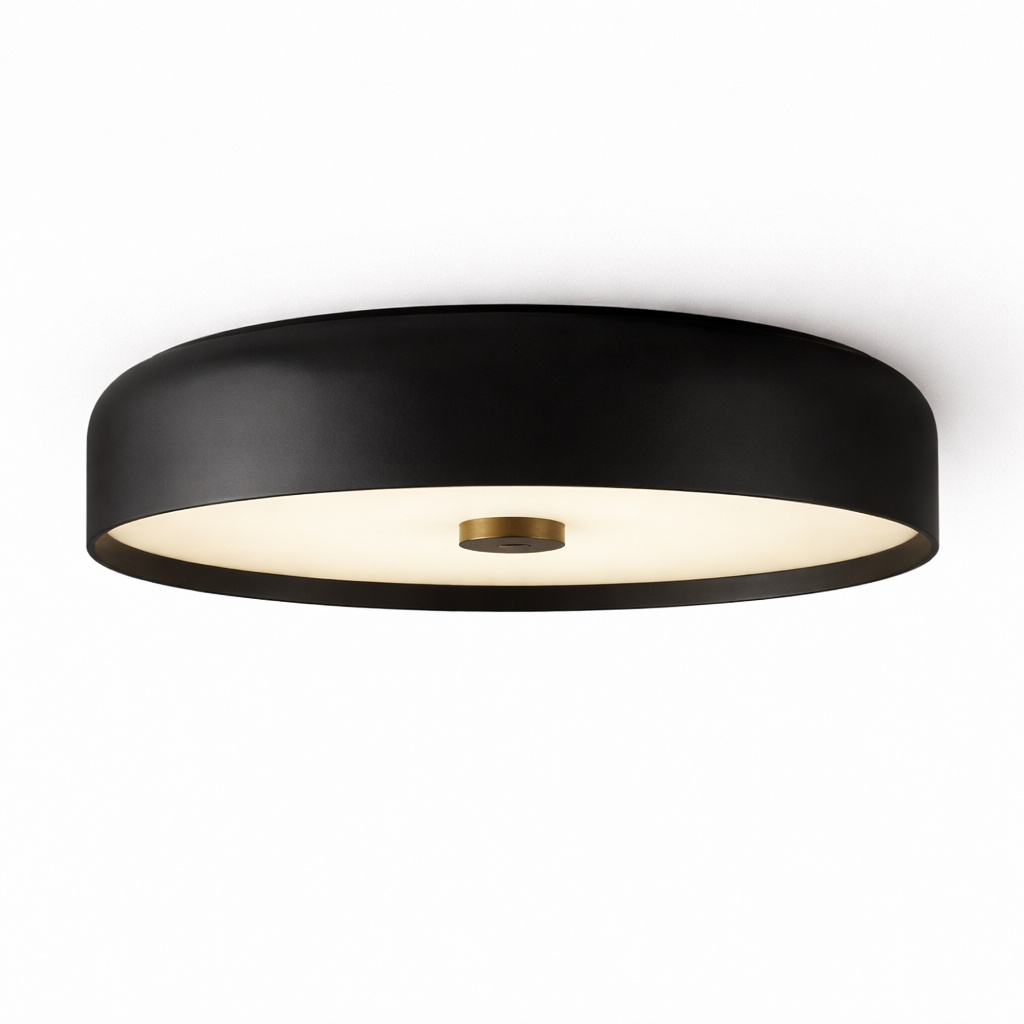 Ceiling Lamp with Rounded LED Shade