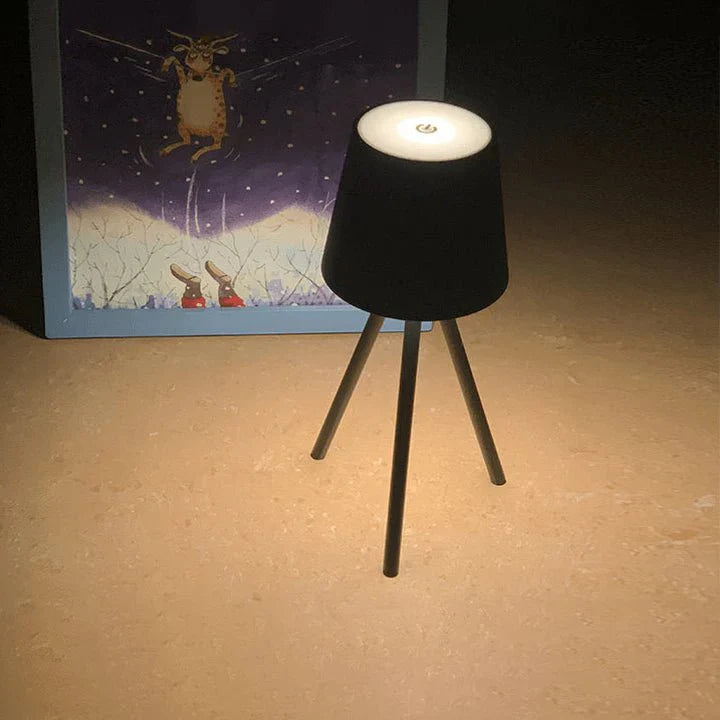Table Lamp on Stand with Rechargeable Battery