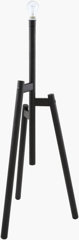 Einar 68" Rubber Wood Floor Lamp, Painted Black