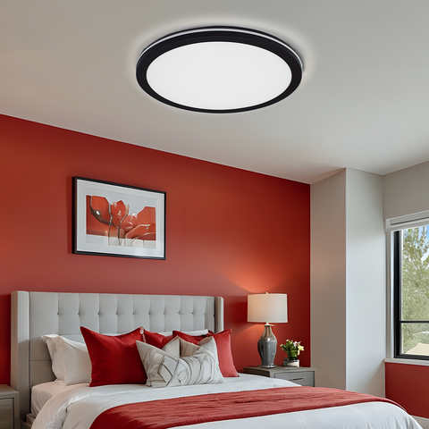 Hector-280 40W IP65 LED Ceiling Lamp - Black