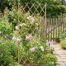 Bamboo Plant Supports 150cm — Trellis